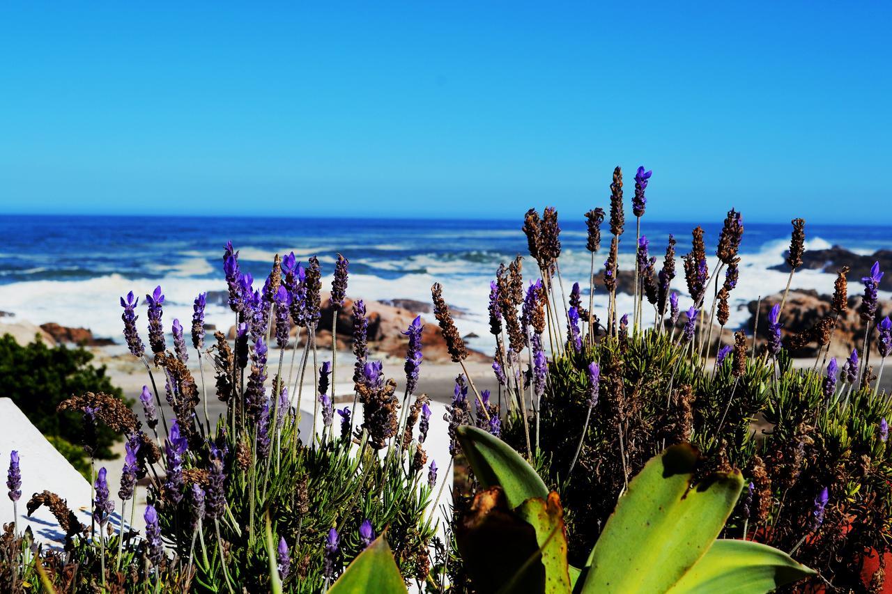 54 On Strand Lambert's Bay Luaran gambar
